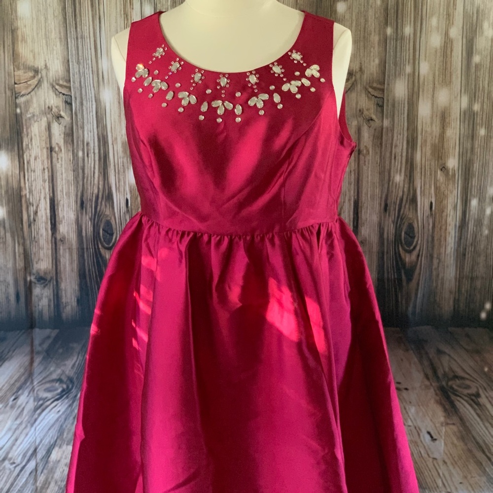 NWT Hot Pink Party Dress